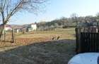 De vanzare teren pentru constructie in Sanvasii - 5