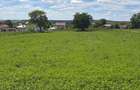 Teren intravilan in Mitoca?i 48000 euro - 9