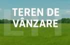 Teren de vanzare, 6736 mp intravilan + extravilan - Rachiti, - Botosani (Botosani) - 1