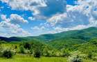 Terenuri extravilane de vanzare Cozieni, jud. Buzau - 1