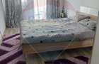De inchiriat apartament 2 camere RED 21, Arad - 20