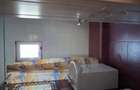 De inchiriat ap 2 camere Costinesti - 7
