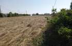 Teren Grigorescu / strada Apateului (de inchiriat / inchiriat) - 6