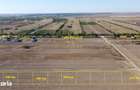 Teren Intravilan 500 mp, Vidra, ideal investitie - 5