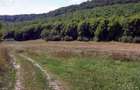 Vand teren Viile Dejului extravilan padure vale apa extras CF (300m de scoala-sosea Dej-Bobalna) - 2