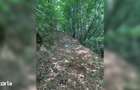 Teren cu poten?ial turistic, cadru natural rar, 20.000 mp Sacuieu - 7