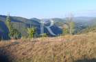 Teren Intravilan | 3.000 mp | Garda de Sus | Alba |