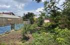 Teren Intravilan 1.188 mp - Parcelabil - Otopeni Odaile | Str. VERONICA - 5