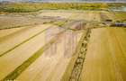 Terenuri industriale cu deschidere la A1, km 64 Jugureni, Dambovit - 14