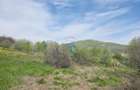 Teren 1,000mp Piatra-Neamt / Zona Fermelor - 10