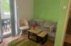 Garsoniera de vanzare Baba Novac - 7