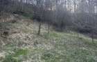 Teren de 2800 mp, în Văleni-Dâmbovița - 2