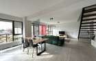Apartament 3 camere tip Duplex - zona Calea Calarasilor/Matei Basarab - 19