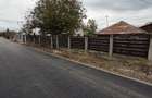 Teren 2500 mp de vanzare Tancabesti