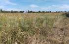 Teren intravilan de 5.400 mp | Matraca, judetul Dambovita