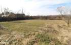 Vand proprietate cu 2 case in Pestisu Mare-Hunedoara, teren 2261mp... - 12
