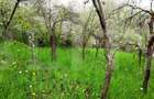 Teren intravilan 3040 mp, zona Donath - 1