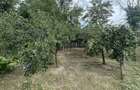 Casa traditionala+teren 1172mp intravilan in Lunca Corbul... - 4