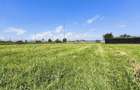 Teren 507 mp - lot de casa in Cristian - Brasov. - 2