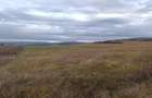 Teren agricol extravilan 2 ha in comuna Saschiz Mures - 2