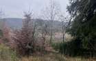 Teren de 20000 mp, în Brusturi - 3
