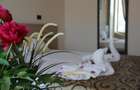 HOTEL 3 STELE, 5 NIVELE, MAMAIA NORD KM 0 ZONA ALEZZI - 33