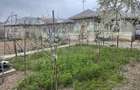 Casa 89 mp + teren 2298 mp intravilan si 2941 mp extravilan Negoiesti - 19