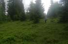 Teren de vanzare Belis1300mp Strada principala Intravilan