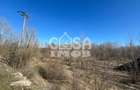 Teren extravilan padure - 6.000 mp, vizavi de Insula Crapilor, Ionest - 1