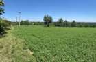 Proprietar, Vand teren intravilan 16600 mp, parcelabil, Comuna Cocu, Arges - 1