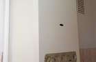 Apartament 2 camere Dimitrie Cantemir - 8