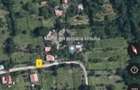 Teren intravilan 1600 mp Podu Cheii, 4 km de Baraj Paltinu