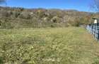 Valea Doftanei - Spatiu 270mp - 150000 Euro - 8