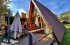 Afacere sau casa de vacanta| Bran Predelut | Brasov