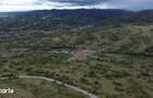 Teren 8.043 mp la DN73C Berevoesti 3/mp! Oportunitate rara - 10