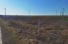 Teren de 900 mp, în Mahmudia - 1
