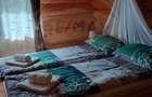 Proprietate cu Potential Triplu..LOCUINTA,INVESTITIE,TURISM!! - 18