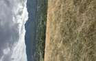 Teren de vanzare 2100 m2 zona Tohanita Zarne?ti - 6