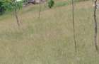 Teren 8,5 ha, Valea Neagra, Petrova, Maramures