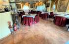 Arta si design in incantarea naturii, oportunitate rezidential/ turistic, Predea - 12