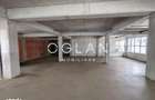 Spatiu Comercial 305 mp+ gradina 178mp, Bieltz/Turnisor - 1