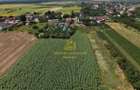 Teren 2.700 mp Ciocanesti - Urziceanca | La asfalt - 2