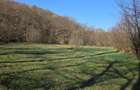 Proprietar vand 2 hectare teren extravilan - 9