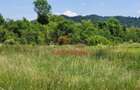 Teren intravilan in Brebu-- 3399mp--81.500e - 1