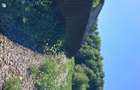 Vand teren intravilan - 5