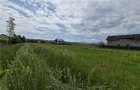 Teren intravilan - Zona Bod - 8