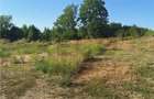 Reco, Parcel? de teren suprafata mare Alesd - 2