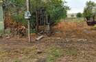 Teren intravilan loc de casa si gradina - 3