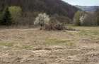 Vand parcele Valea Ierii Frasinet - 4