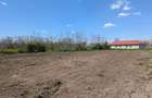OFERTA Teren intravilan in Nuntasi - 5